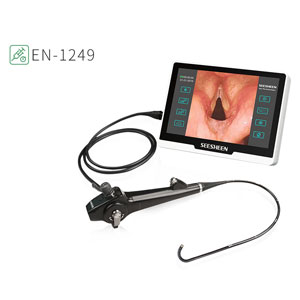 Flexible Endoscopy System